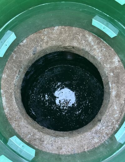 Cleaned septic tank after removing root intrusion, showing a clear and restored tank interior