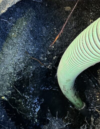 Pumping a septic tank with root intrusion, showing roots being removed and vacuum equipment in operation